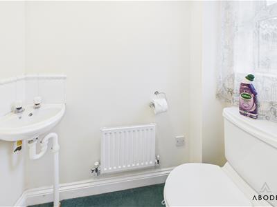 Picture 9